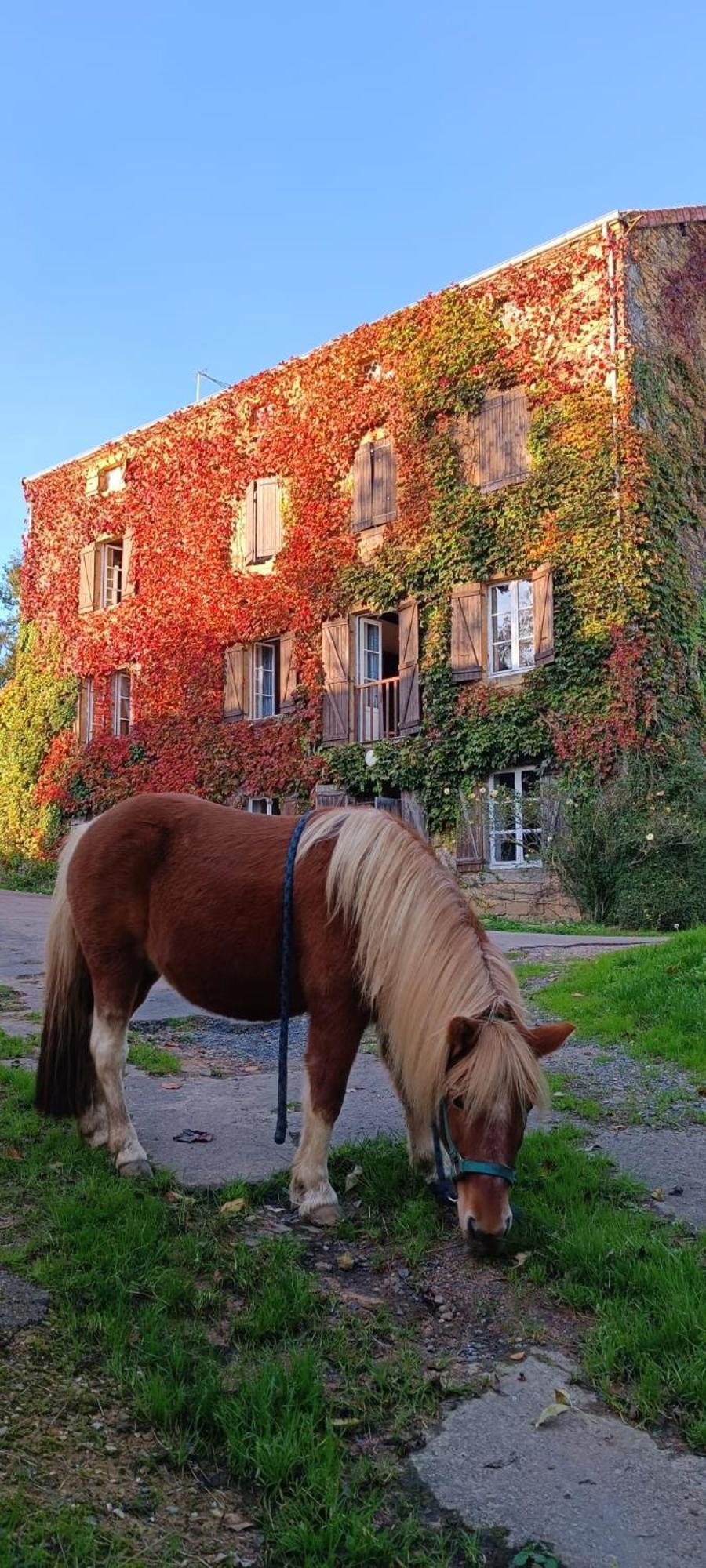 Bed and Breakfast Le Moulin De Vaux à Nochize Extérieur photo