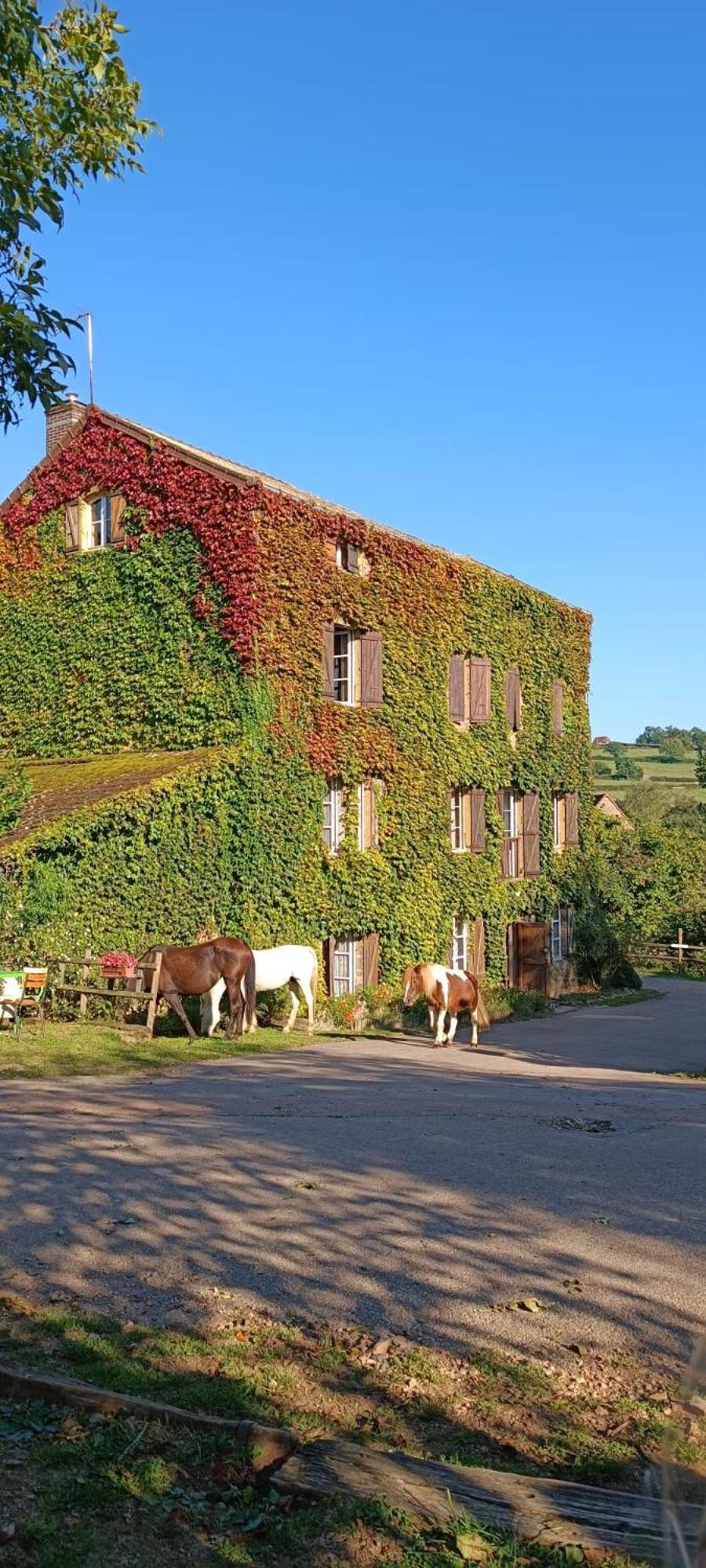 Bed and Breakfast Le Moulin De Vaux à Nochize Extérieur photo